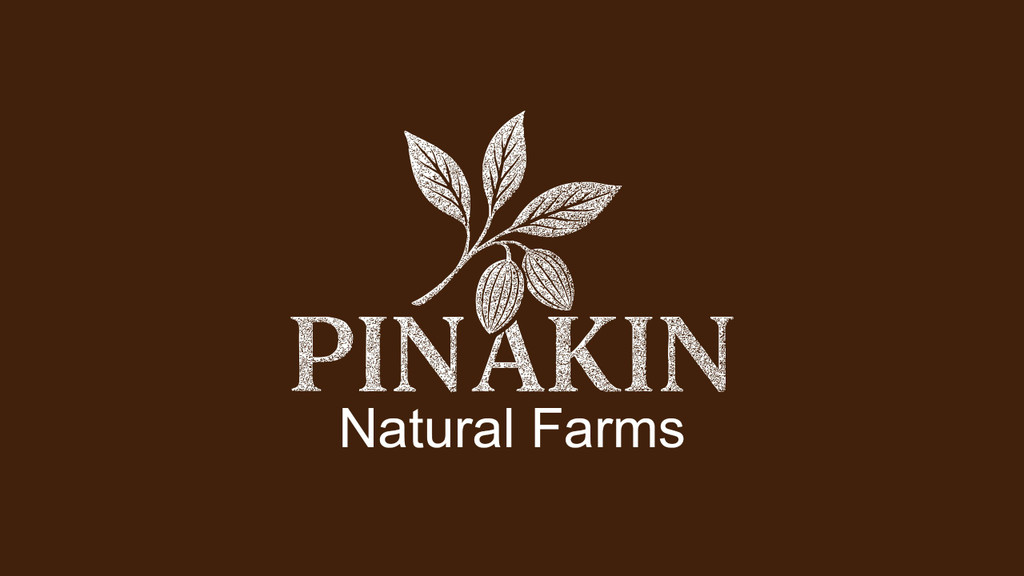 Pinakin Premium Dry Fruit Packaging Design project